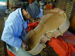 弦楽器に最適とされるブラジルの材木バウ･ブラジルで農場のための楽器を製作。