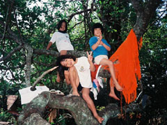 木登りをして遊ぶ女の子たち。