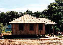 1999年2月、ユバ農場を訪問したサンパウロ在住の熊田和子さん撮影
